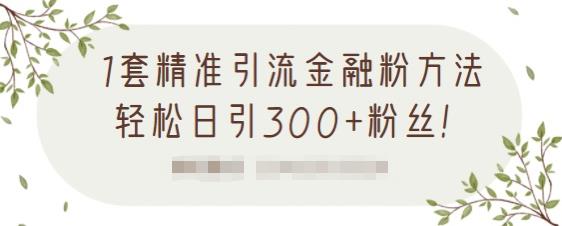 1套精准引流金融粉方法，轻松日引300 粉丝【视频课程】-瑞创网