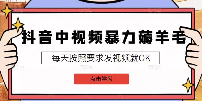 2022抖音中视频暴力薅羊毛白嫖项目：新号每天20块，老号几天几百块，可多号-瑞创网