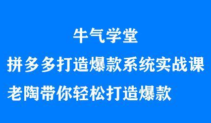 牛气学堂拼多多打造爆款系统实战课，老陶带你轻松打造爆款-瑞创网