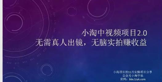 小淘项目组网赚永久会员，绝对是具有实操价值的，适合有项目做需要流程【持续更新】-瑞创网