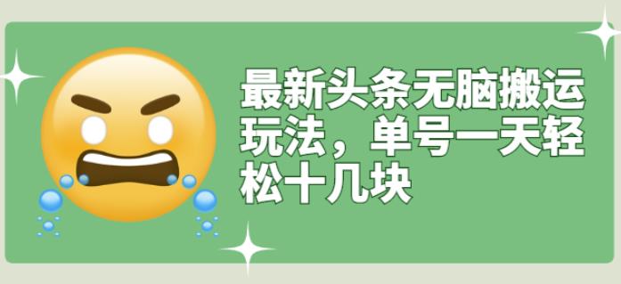 最新头条无脑搬运玩法，单号一天轻松十几块【视频教程 搬运软件】-瑞创网