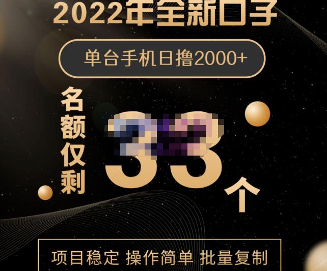 2022年全新口子，手机批量搬砖玩法，一部手机日撸2000-瑞创网