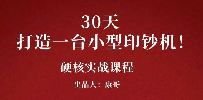 康哥30天打造一台小型印钞机：躺赚30万的项目完整复盘（视频教程）-瑞创网