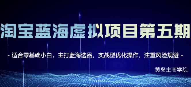 淘宝虚拟无货源3.0 4.0 5.0，适合零基础小白，主打蓝海选品，实战型优化操作-瑞创网