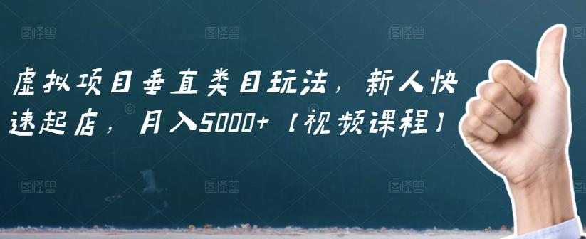 虚拟项目垂直类目玩法，新人快速起店，月入5000 【视频课程】-瑞创网