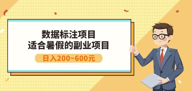 副业赚钱：人工智能数据标注项目，简单易上手，小白也能日入200-瑞创网