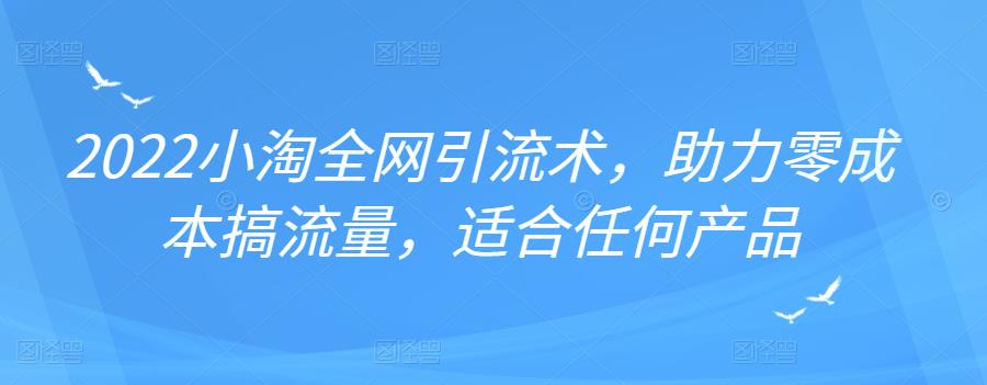 2022年小淘全网引流术，助力零成本搞流量，适合任何产品-瑞创网