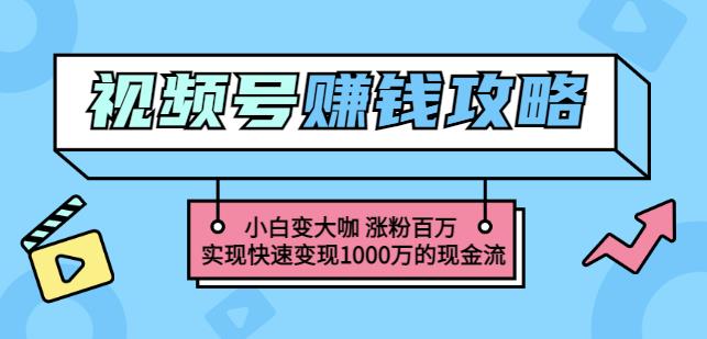 玩转微信视频号赚钱：小白变大咖涨粉百万实现快速变现1000万的现金流-瑞创网