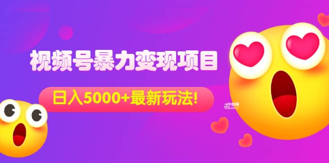 外面收费699的视频号暴力变现项目，日入5000 ，简单易操作当天见效果-瑞创网