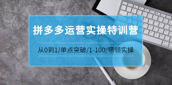 拼多多运营实操特训营：从0到1/单点突破/1-100/带领实操 价值2980元-瑞创网