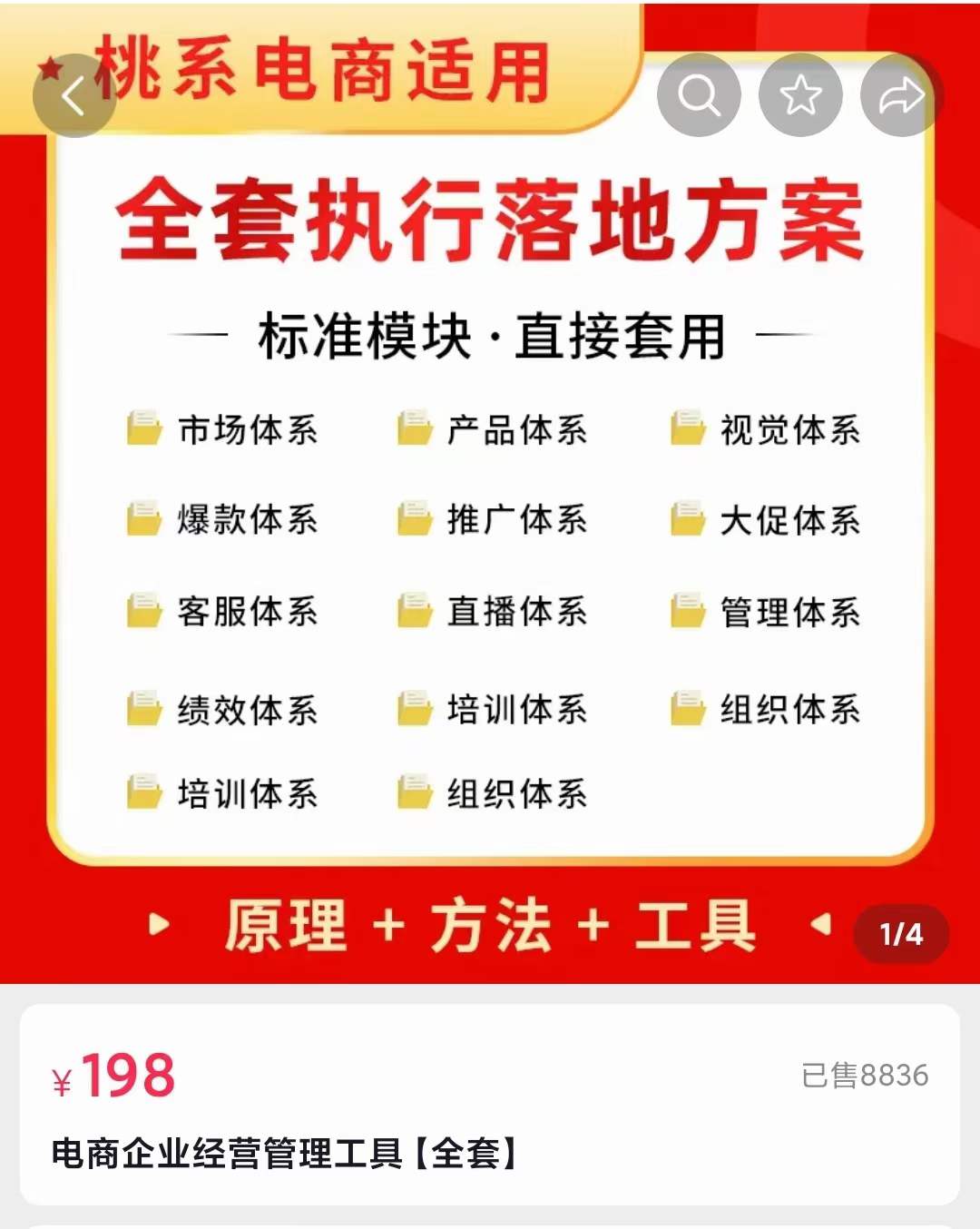 外面卖198·电商企业经营管理工具：全套执行落地方案 标准模块·直接套用-瑞创网