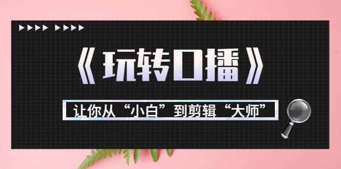 月营业额700万 大佬教您《玩转口播》让你从“小白”到剪辑“大师”-瑞创网