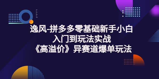 拼多多零基础新手小白入门到玩法实战《高溢价》异赛道爆单玩法实操课-瑞创网