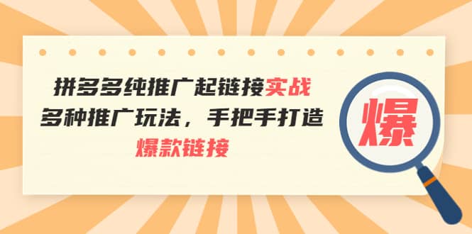 拼多多纯推广起链接实战：多种推广玩法，手把手打造爆款链接-瑞创网