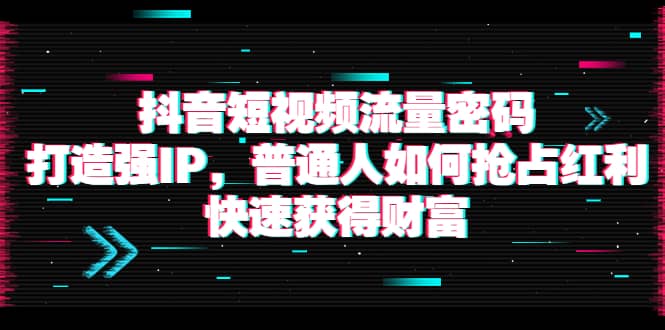 抖音短视频流量密码：打造强IP，普通人如何抢占红利，快速获得财富-瑞创网