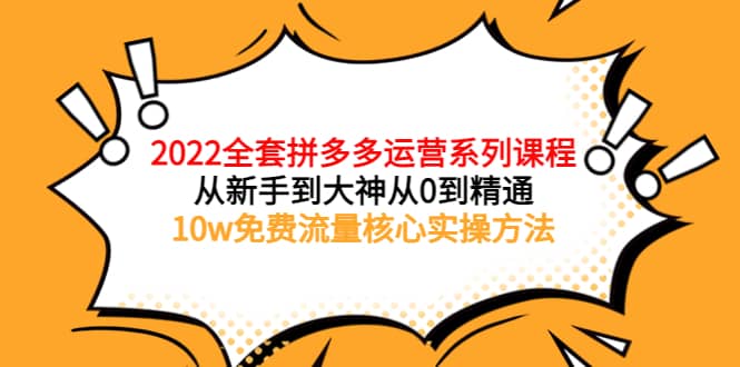 2022全套拼多多运营课程，从新手到大神从0到精通，10w免费流量核心实操方法-瑞创网