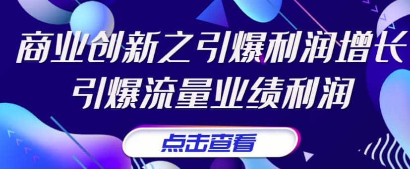 《商业创新之引爆利润增长》引爆流量业绩利润-瑞创网