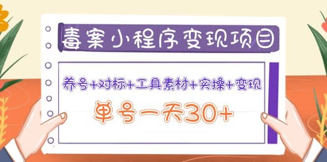 毒案小程序变现项目：养号 对标 工具素材 实操 变现-瑞创网