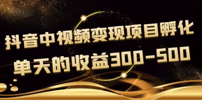 黄岛主《抖音中视频变现项目孵化》单天的收益300-500 操作简单粗暴-瑞创网