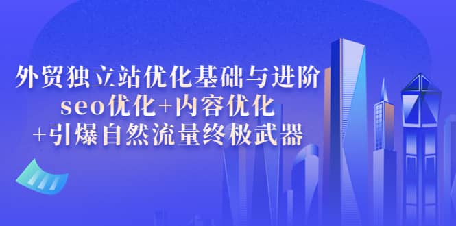 外贸独立站优化基础与进阶，seo优化 内容优化 引爆自然流量终极武器-瑞创网