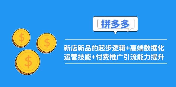 2022拼多多：新店新品的起步逻辑 高端数据化运营技能 付费推广引流能力提升-瑞创网