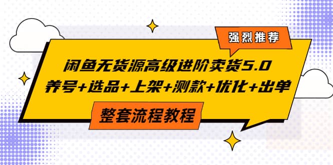 闲鱼无货源高级进阶卖货5.0，养号 选品 上架 测款 优化 出单整套流程教程-瑞创网