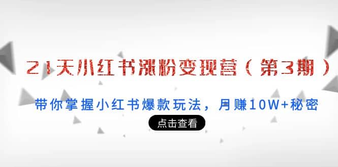 21天小红书涨粉变现营（第3期）：带你掌握小红书爆款玩法，月赚10W 秘密-瑞创网