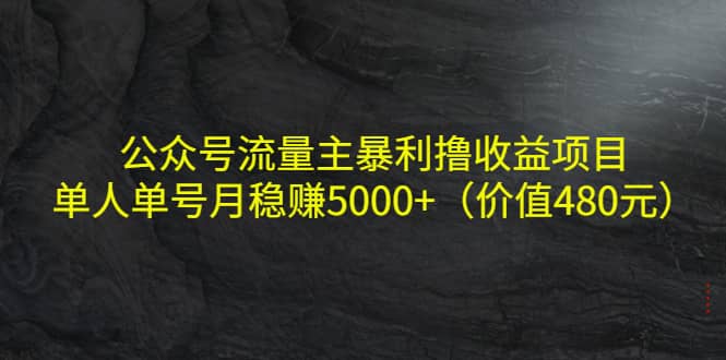 公众号流量主暴利撸收益项目，单人单号月稳赚5000 （价值480元）-瑞创网