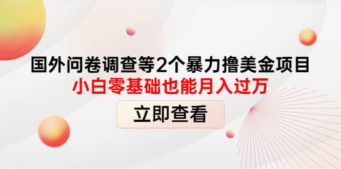 国外问卷调查等2个暴力撸美元项目，小白零基础也能月入过万-瑞创网