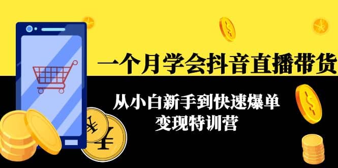 一个月学会抖音直播带货：从小白新手到快速爆单变现特训营(63节课)-瑞创网