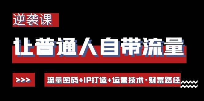 让普通人自带流量的逆袭课：流量密码 IP打造 运营技术·财富路径-瑞创网