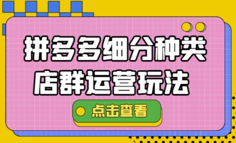 拼多多细分种类店群运营玩法3.0，11月最新玩法，小白也可以操作-瑞创网