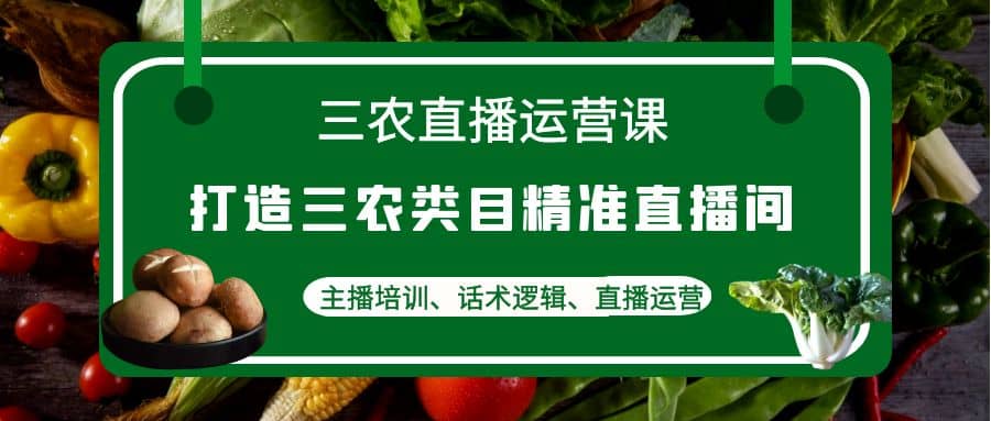 三农直播运营课：打造三农类目精准直播间，主播培训、话术逻辑、直播运营-瑞创网