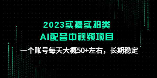 2023实操实拍类AI配音中视频项目，一个账号每天大概50 左右，长期稳定-瑞创网