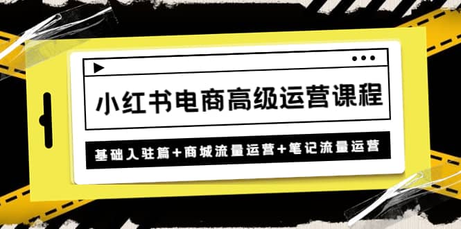 小红书电商高级运营课程：基础入驻篇 商城流量运营 笔记流量运营-瑞创网