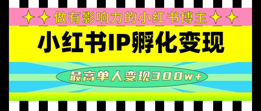 某收费培训-小红书IP孵化变现：做有影响力的小红书博主-瑞创网