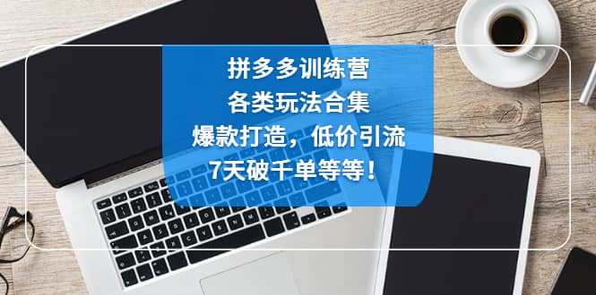 拼多多训练营：各玩法合集，爆款打造，低价引流，7天破千单等等-瑞创网