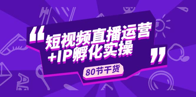 短视频直播运营 IP孵化实战：80节干货实操分享-瑞创网