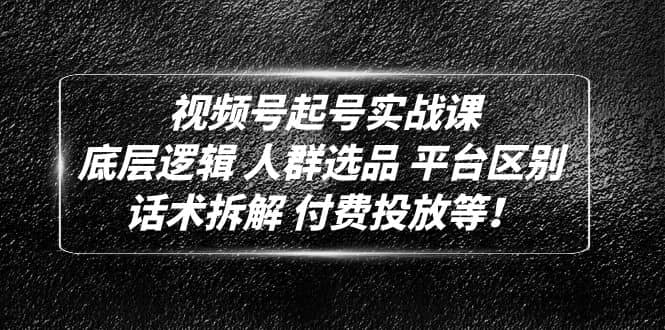 视频号起号实战课：底层逻辑 人群选品 平台区别 话术拆解 付费投放等-瑞创网