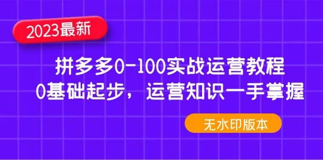 2023拼多多0-100实战运营教程，0基础起步，运营知识一手掌握（无水印）-瑞创网