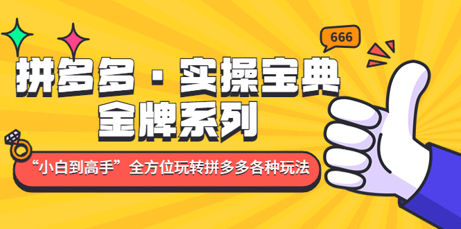 拼多多·实操宝典：金牌系列“小白到高手”带你全方位玩转拼多多各种玩法-瑞创网