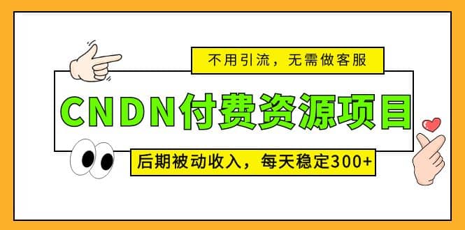 CNDN付费资源项目，不用引流，无需做客服，后期被动收入-瑞创网