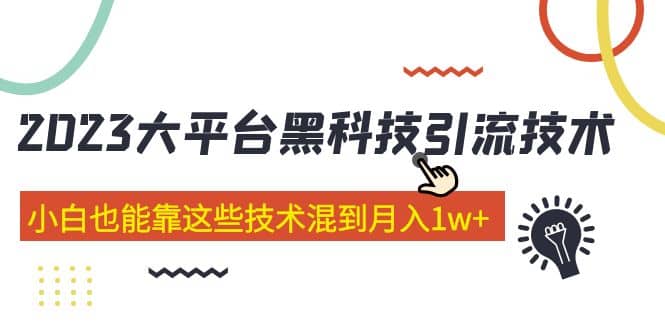 价值4899的2023大平台黑科技引流技术 29节课-瑞创网