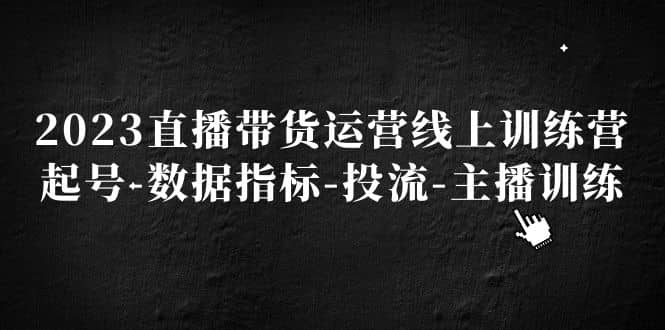 2023直播带货运营线上训练营，起号-数据指标-投流-主播训练-瑞创网