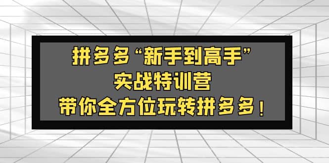 拼多多“新手到高手”实战特训营：带你全方位玩转拼多多-瑞创网