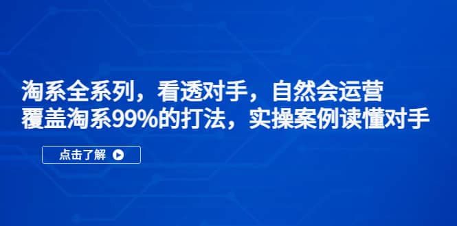 淘系全系列，看透对手，自然会运营，覆盖淘系99%·打法，实操案例读懂对手-瑞创网