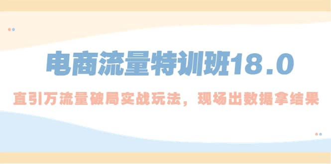 电商流量特训班18.0，直引万流量破局实操玩法，现场出数据拿结果-瑞创网