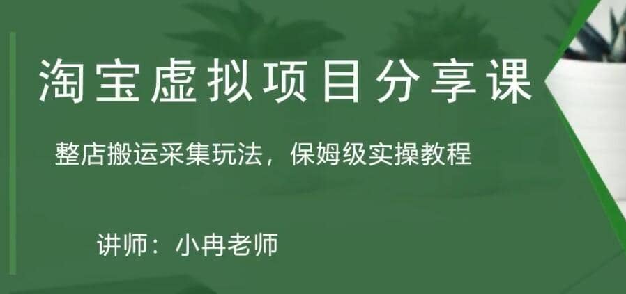 淘宝虚拟整店搬运采集玩法分享课：整店搬运采集玩法，保姆级实操教程-瑞创网