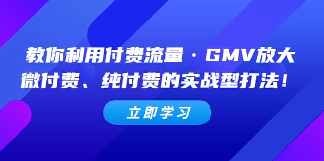 教你利用付费流量·GMV放大，微付费、纯付费的实战型打法-瑞创网