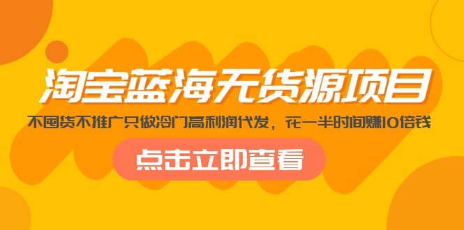 淘宝蓝海无货源项目，不囤货不推广只做冷门高利润代发-瑞创网